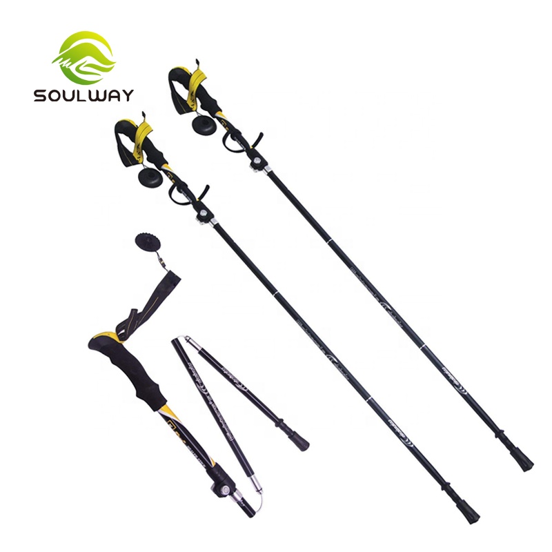 wildcraft trekking pole