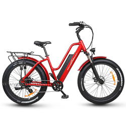 jet 250 electric bike price