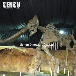 High Quality Handmade Mamont Skeleton Animal Skeleton Model