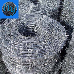 Tata Barbed Wire Barbed Wire For Fencing Approx Length 300 Meters Weight 25 Kgs Kanta Tar Amazon In Garden Outdoors