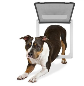one way dog door