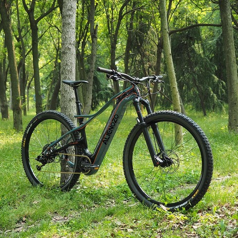 Alienozo Electric Mountain Bike 