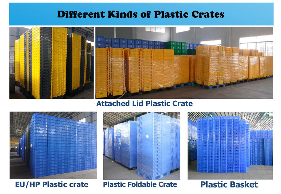 600*400*220 cheap price foldable plastic crates for fruits and vegetables manufacturer