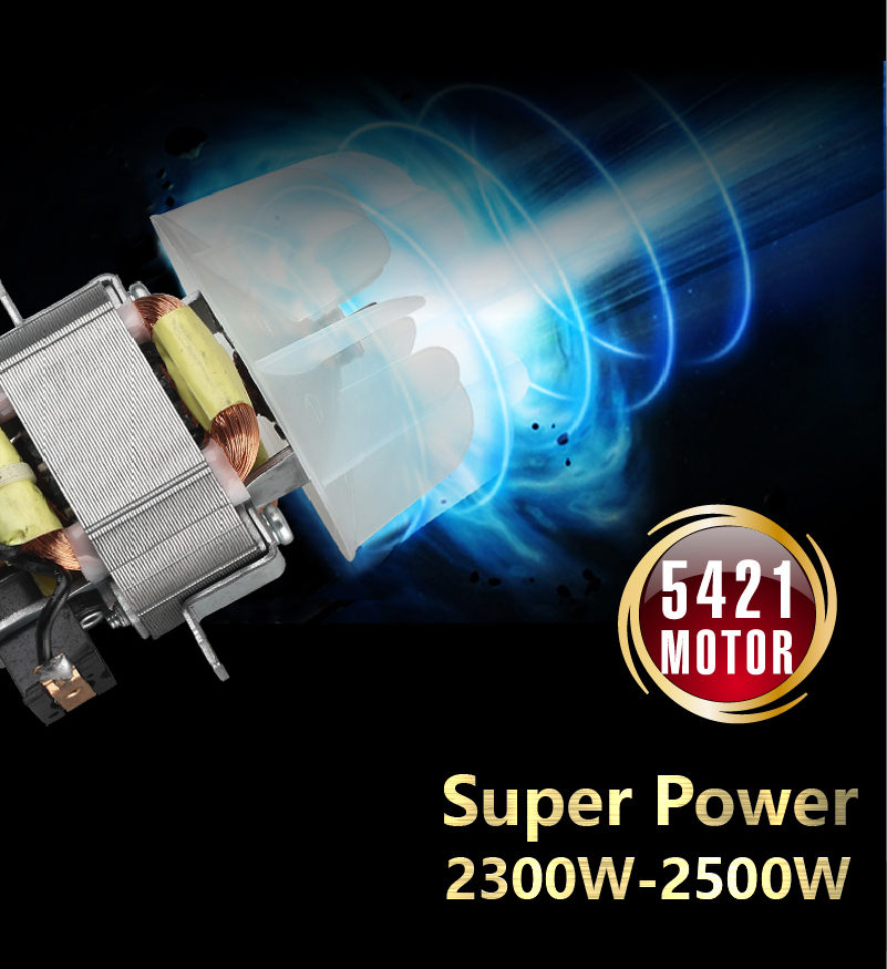 KIKI NEWGAIN Powerful 5421 AC motor 2500W Secador de pelo Salon Professional Hair Dryer for beauty shop