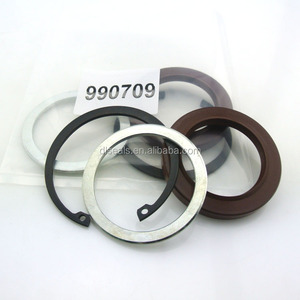 DL SEALS 990709-000 Pump & Motor Shaft Seal Kit/990709 oil seals kits