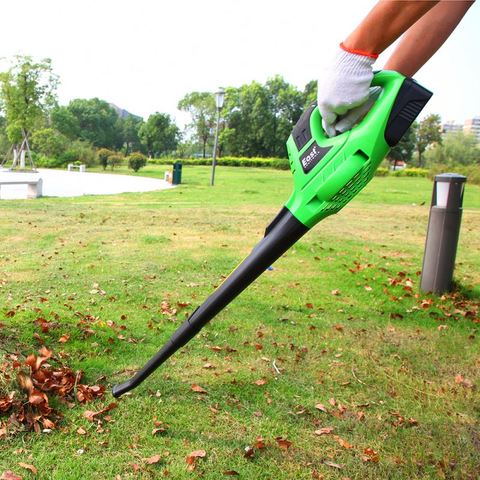 leaf blower and vacuum