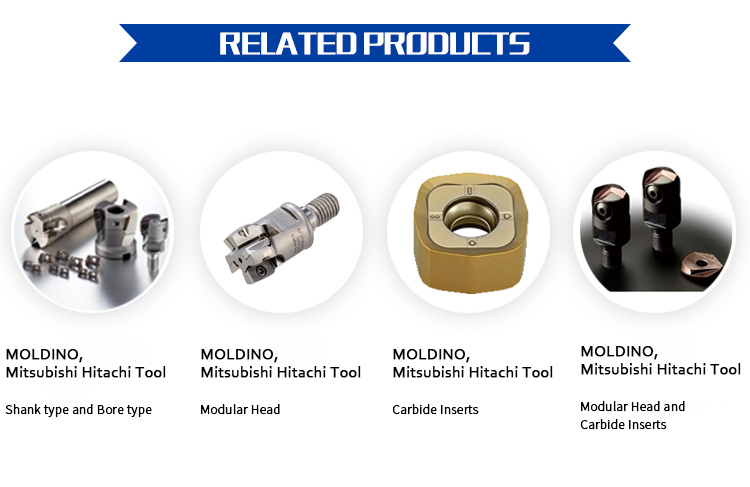 男女兼用 Tools Cutting Precision - Mill Modular MOLDINO for Steel Carbon メンテナンス