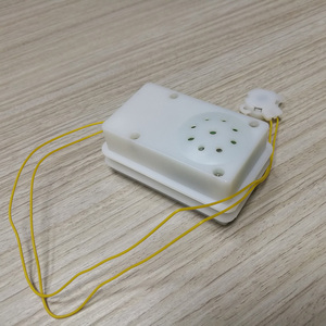 teddy bear sound box