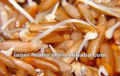 germinated brown rice flours