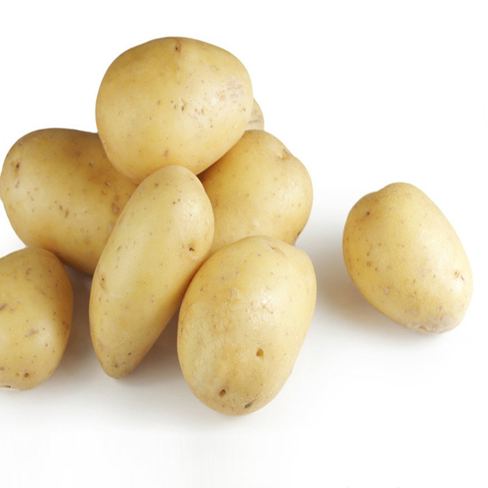 Картофель экспорт. Картофель белый. Натуральная картошка. Картофель желтый на белом фоне.