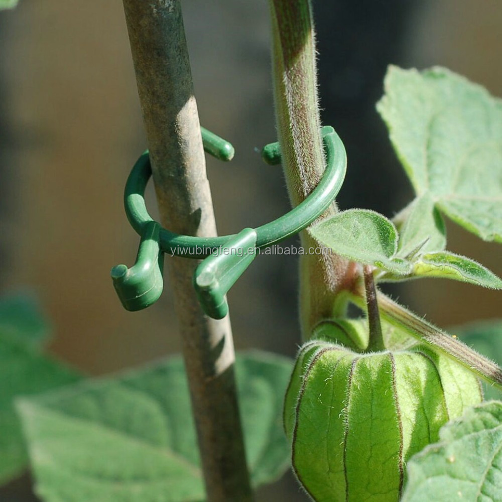 400 Stücke Pflanze Reben Tomaten Stem Clips Unterstützt Verbinden