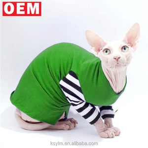 Rechercher Les Fabricants Des Sphynx Cat Produits De Qualite Superieure Sphynx Cat Sur Alibaba Com