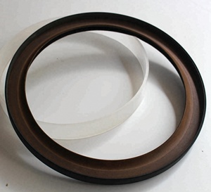 D5010295831 Renault Engine Parts Crankshaft Rear Oil Seal