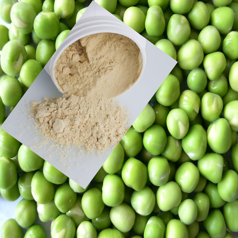 Горох содержит 50 процентов крахмала. Pea protein гороховый протеин. протеин в горохе. горох белки. белок из гороха.