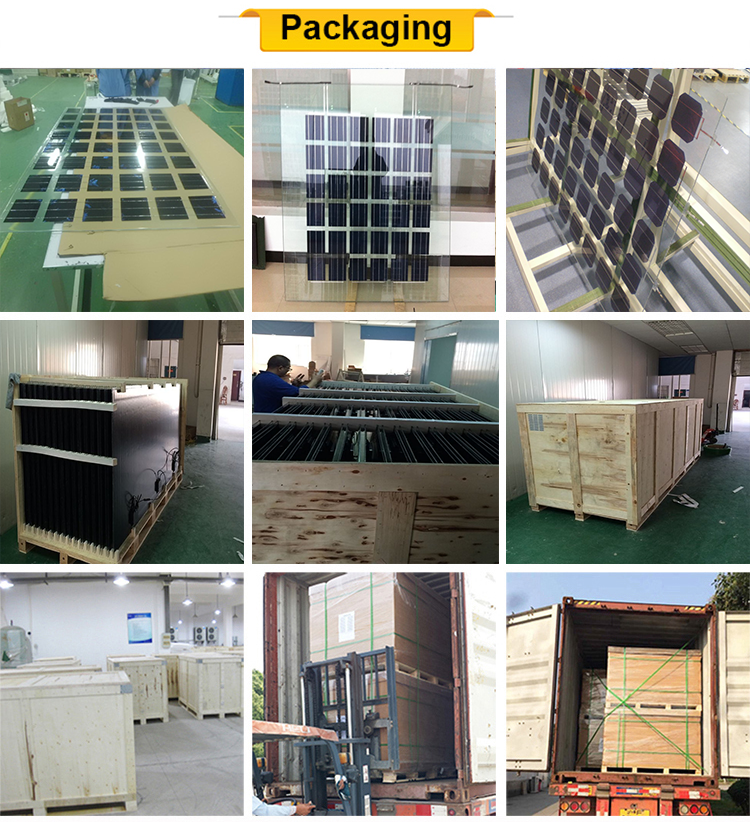 Yangtze BIPV Double glass or single glass 24v 230w 240w 250w 260w 270w transparent solar pv module