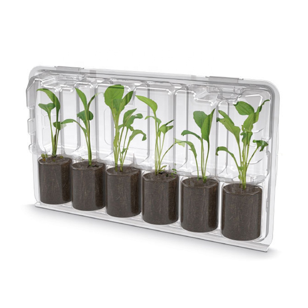 Блистер для рассады. Блистер для рассады. Блистерная упаковка для рассады. Контейнеры для черенкования. Упаковка растений для пересылки.