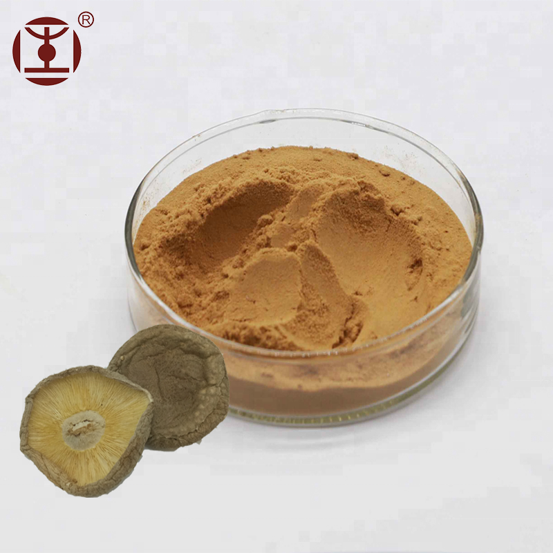 Гриб шиитаке, чайный пакетик, экстракт, добавки