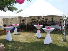 5*5m Promotion High Peak Roof Pagoda Party Tent