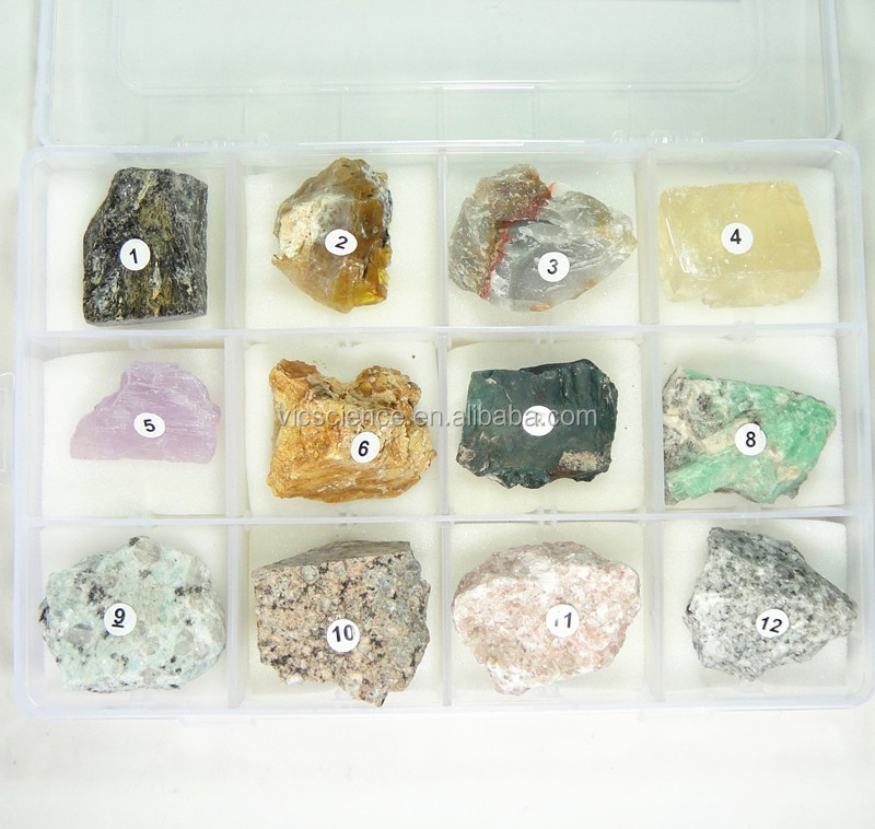 12 种矿物和岩石样品的标本