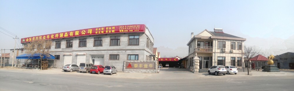 Manufacturers Sale High Loading Capacity Polyester Lifting Cargo Net