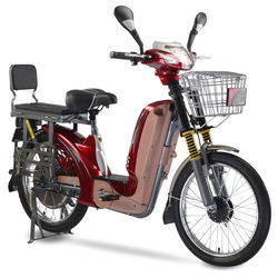 48v 350w cargo loading cheap stealth bomber electric dirt bike for sale
