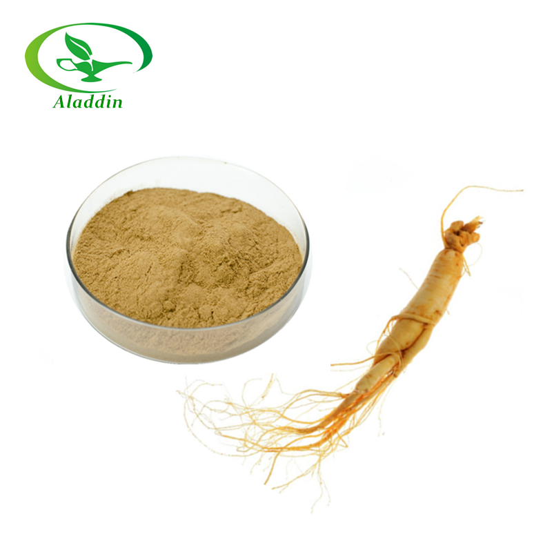 Экстракт женьшеня Panax/Корейский Экстракт корня красного женьшеня/экстракт корня дикого женьшеня в порошке