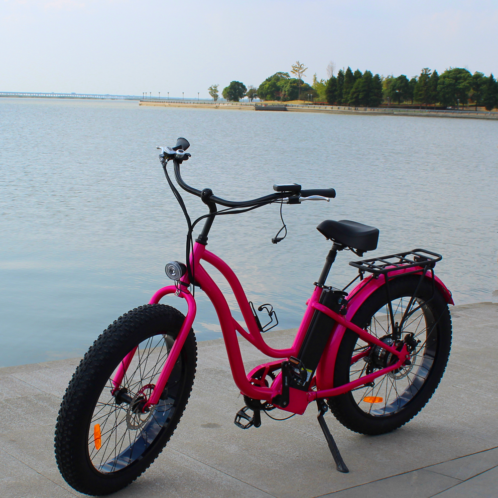 i migliori catenacci per biciclette economici