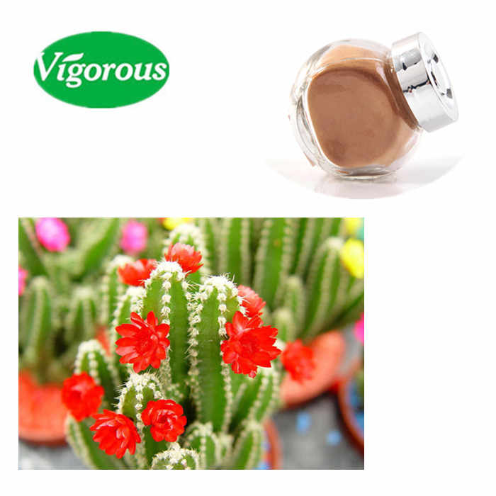 gymnocalycium mihanovichii Gymnocalycium Mihanovichii