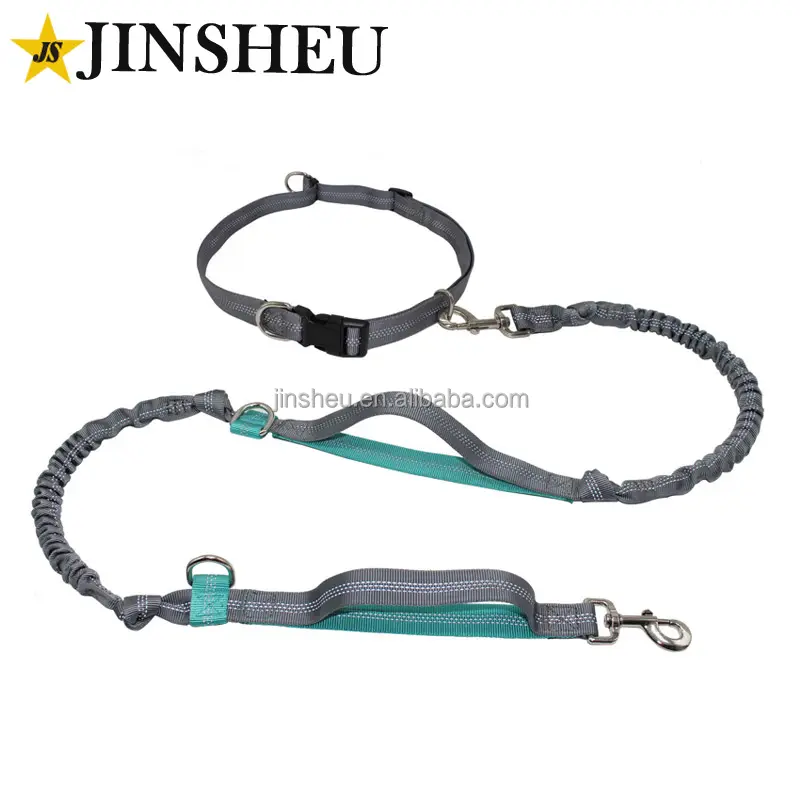 invisible dog leash wholesale