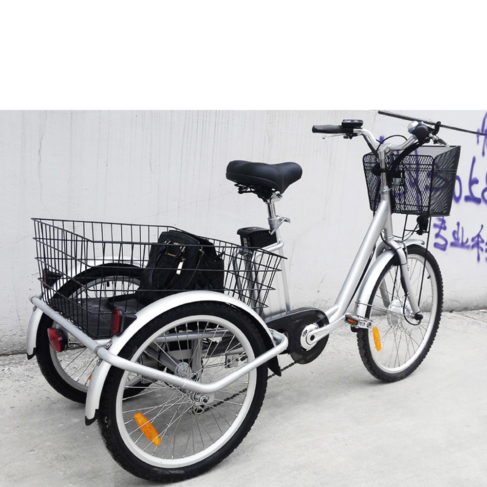 swing tricycle