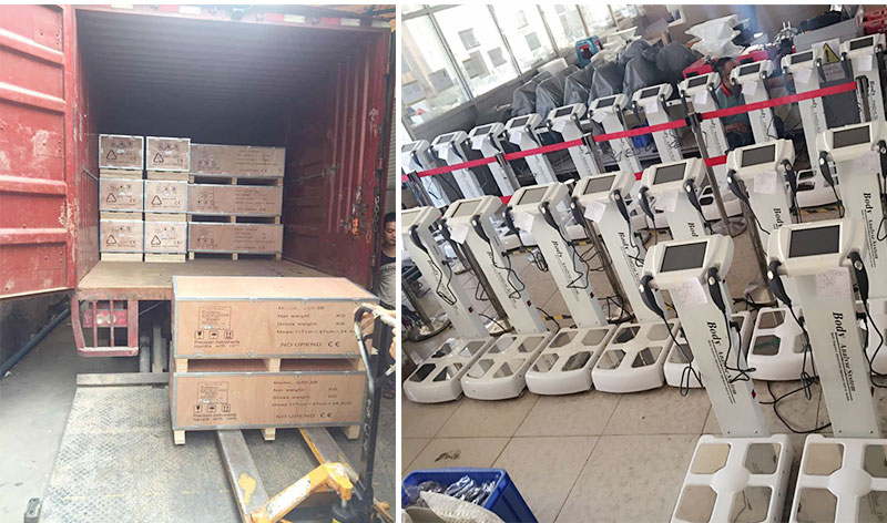 Body BMI Body Composition Analyzer Machine with OEM Service