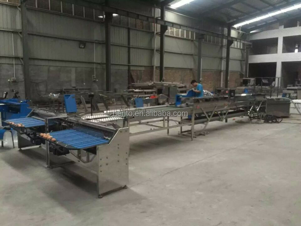 Máy Phân Loại Kích Thước Trứng Thương Mại/Máy Phân Loại Trọng Lượng Trứng