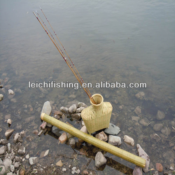 chinese fish pole bamboo Phyllostachys aurea | Fish-pole - Height 180-200cm FISHING POLE BAMBOO - Glendale