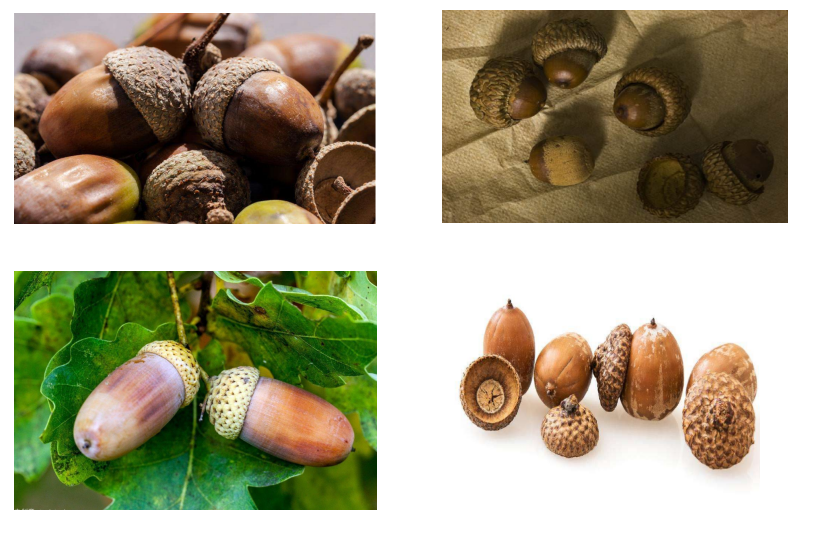 乾燥くるみ樹皮2kg セット。　7-061 乾燥くるみ皮混材、2kg セット。7-06