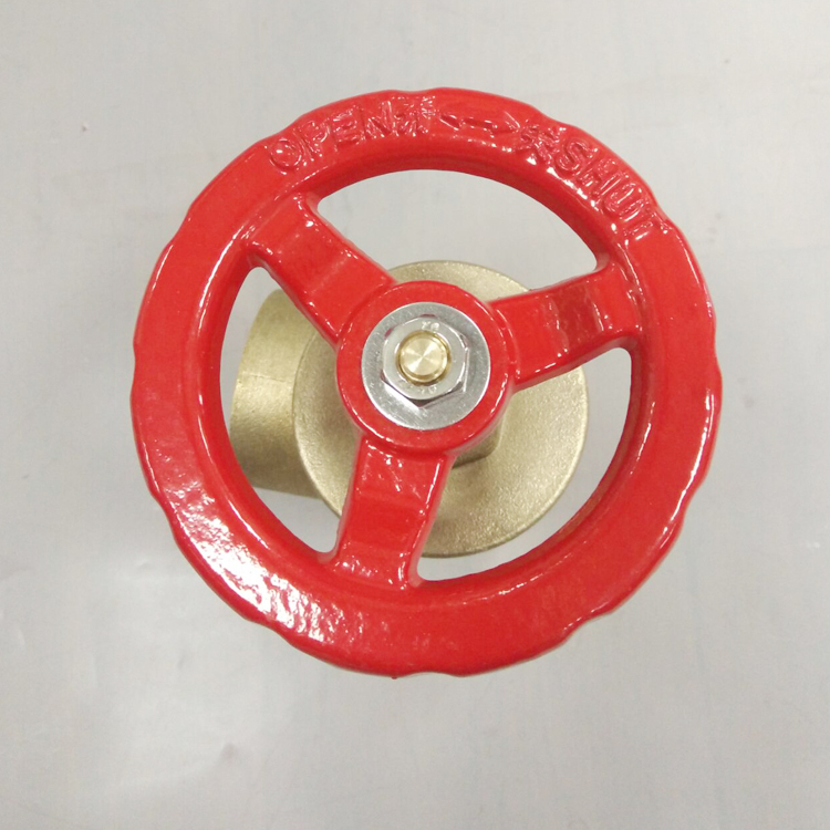2 1/2" Brass Angle Hose Valve with FM/UL approvals