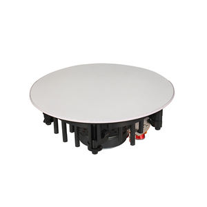 White Ceiling Speaker Covers White Ceiling Speaker Covers