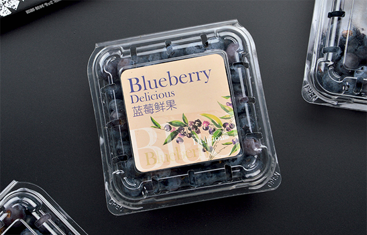 250 克透明蓝莓盒包装翻盖一次性塑料食品容器