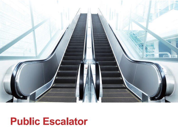 syney,值得信赖的顶级中国自动扶梯工厂