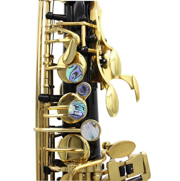 High Quality Black Nickel Body Gold Lacquered Keys Alto Saxophone with Good Price