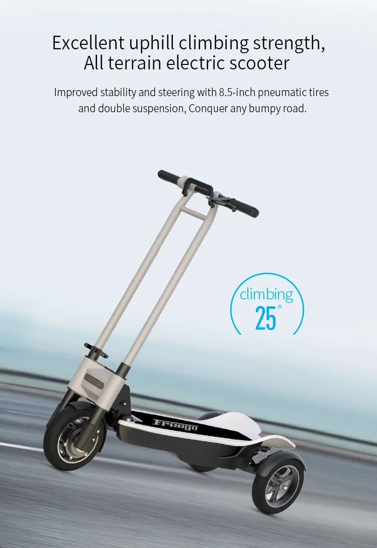 New design 3 wheel 48v lithium 8.5inch big wheel LCD display electric scooter for adult