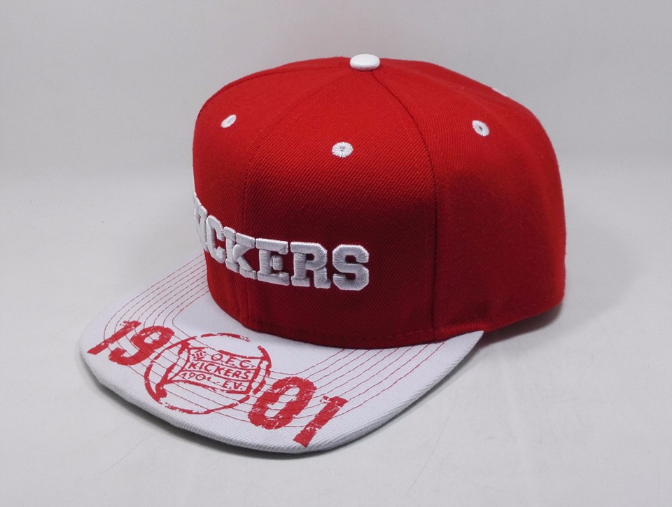 printed brim snapback cap and hat with 3d embroidery LOGO