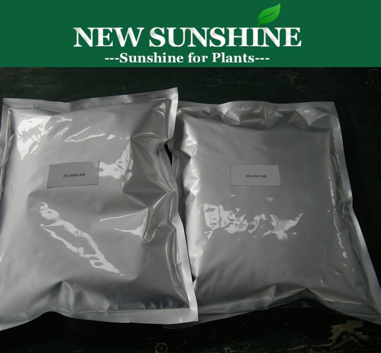 Plant Growth Regulator Paclobutrazol Price Paclobutrazol 25% SC Liquid 15% WP 95% TC