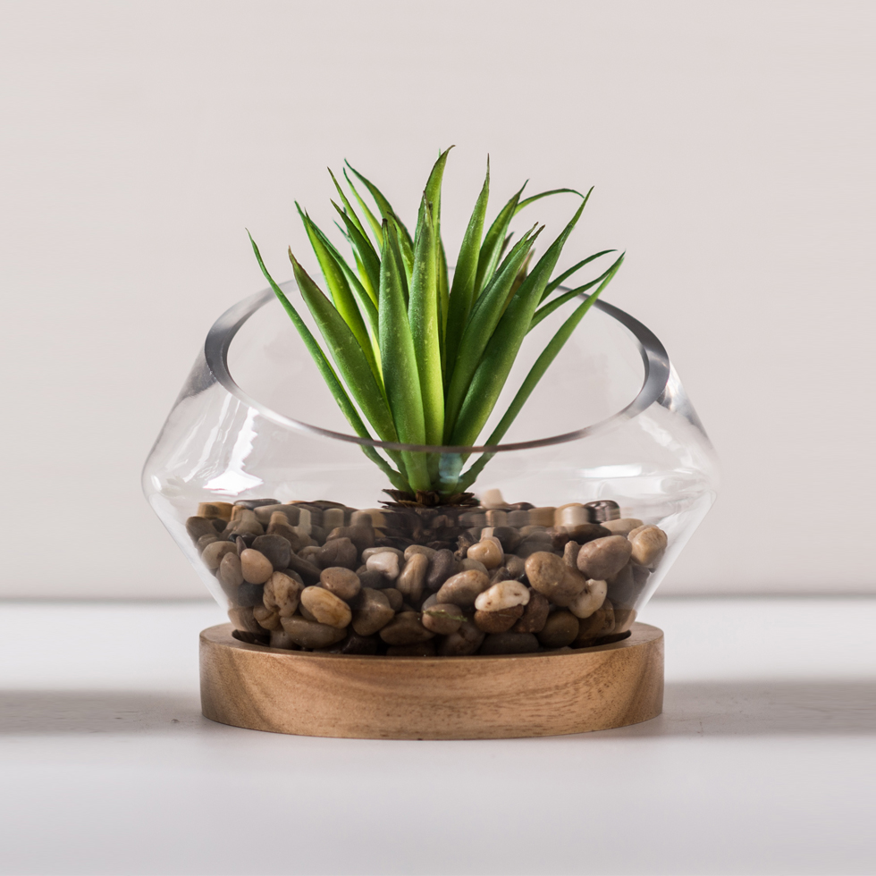 用木基种植玻璃容器