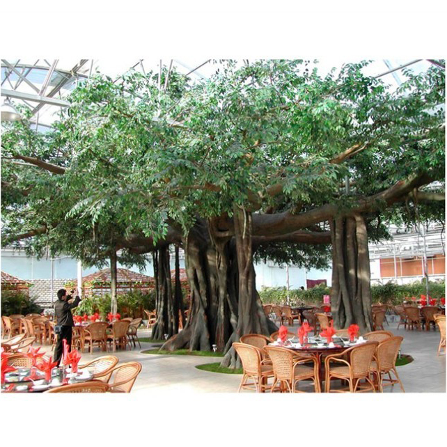 Cheap Big Artificial Ficus Tree/ Bonsai Ficus Microcarpa/Artificial Banyan Trees