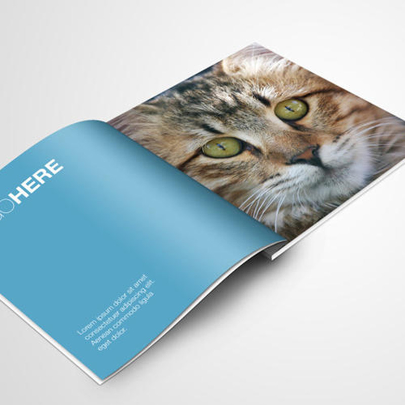 Полноцветная печать журнала с Заводской ценой