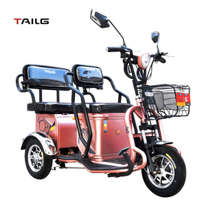 tailg e bike 3 wheel price