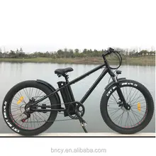 eco zone electric bike