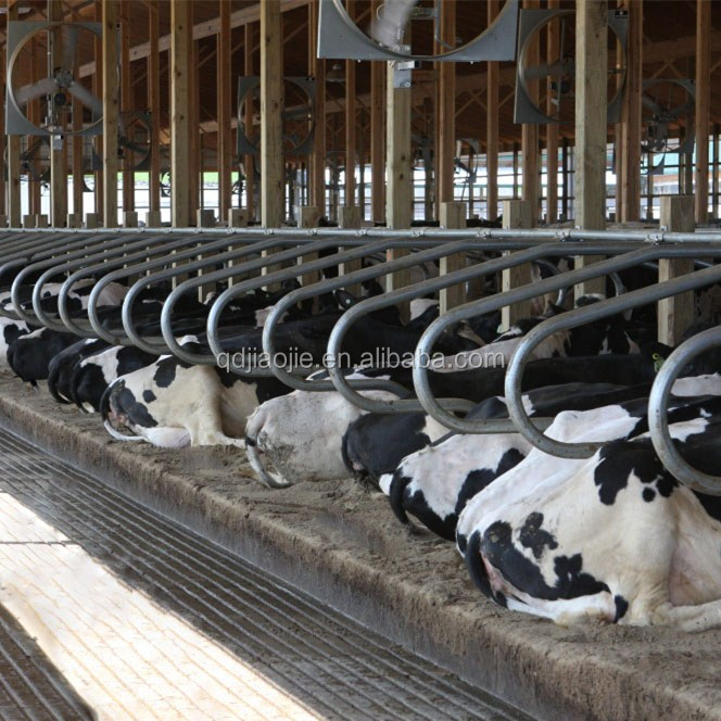 Коровье хозяйство оборудование, корова бесплатно ларек, бесплатно ларек молочных банок!