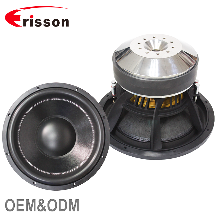 woofer 5000 watt price
