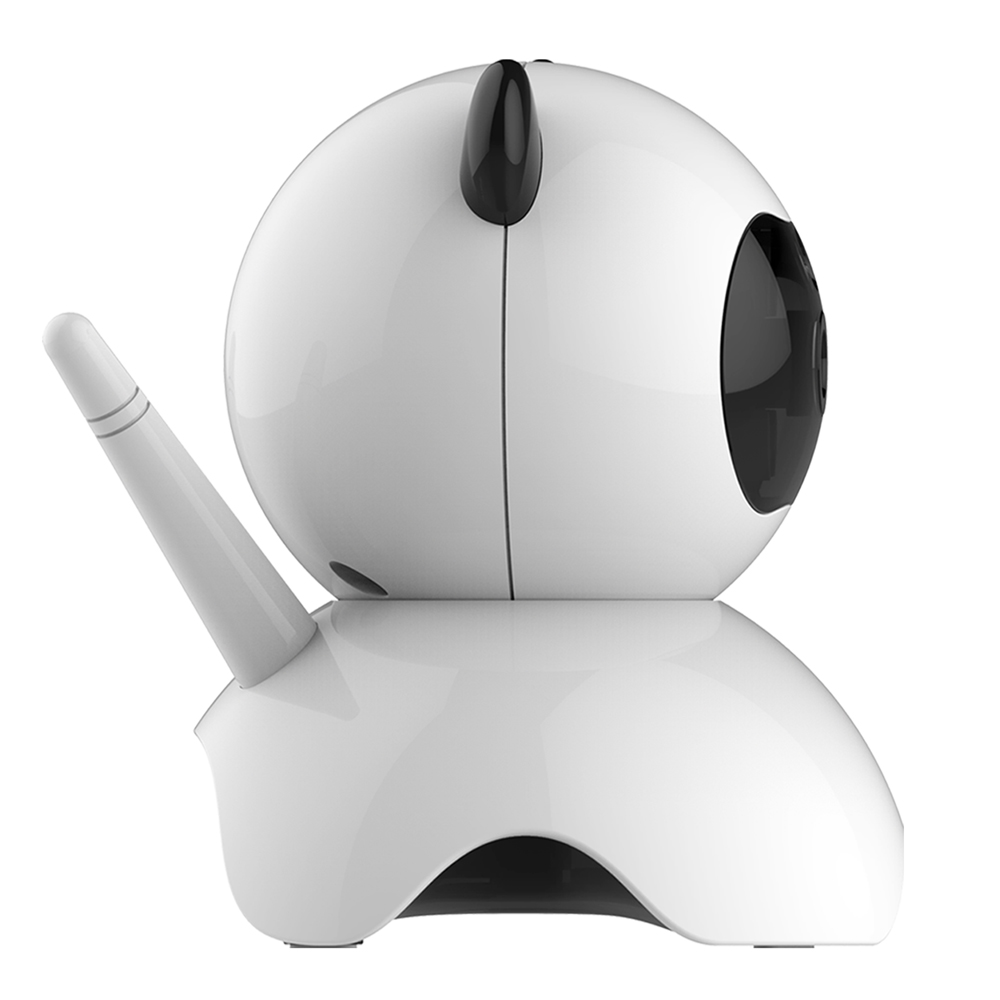 Все в заголовке сетевая дешевая камера